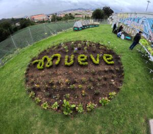 Lee más sobre el artículo Orgullo Verde: ¡Mueve Usme, primer concesionario del SITP reconocido como Negocio Verde!